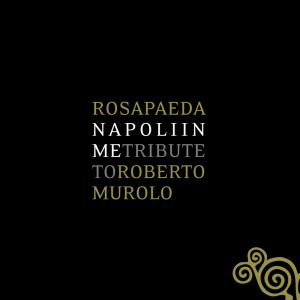 收听Rosapaeda的Si tu nenna m'amave n'autr'anne歌词歌曲