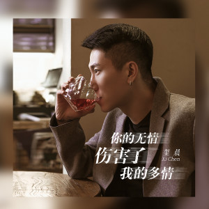 收聽璽晨的你的無情傷害了我的多情 (伴奏)歌詞歌曲