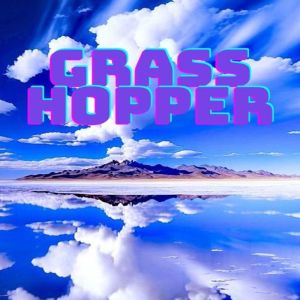Album GRASSHOPPER oleh Troy & Gabriella