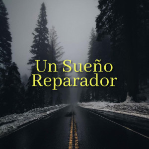 Album Un Sueño Reparador (Explicit) from Meditación Guiada