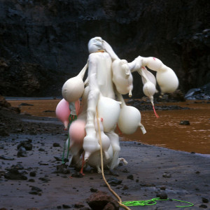 ดาวน์โหลดและฟังเพลง Held พร้อมเนื้อเพลงจาก Kai Whiston