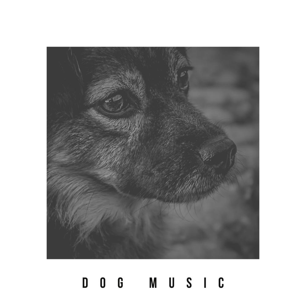 Anti Anxiety Music For Dogs