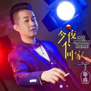 杨小弈的专辑今夜不回家