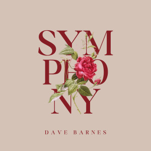 Dave Barnes的專輯Symphony