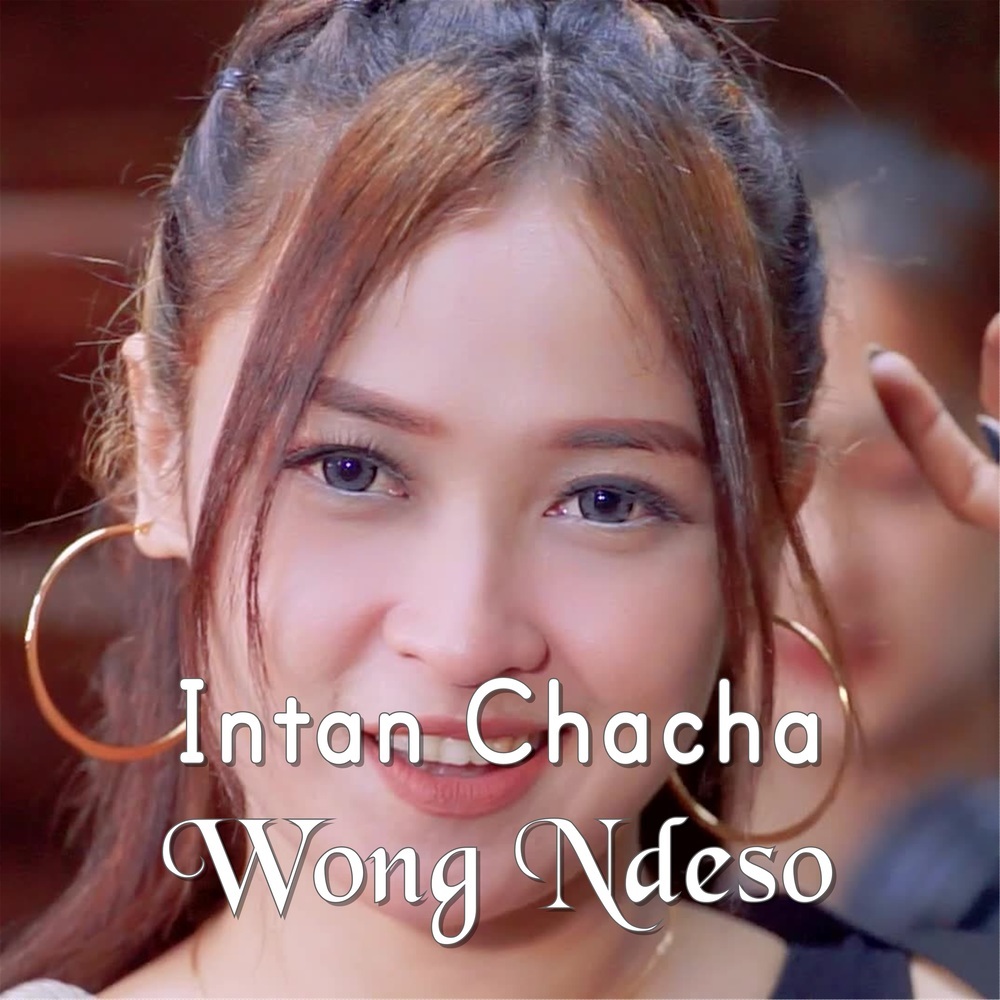 Wong Ndeso