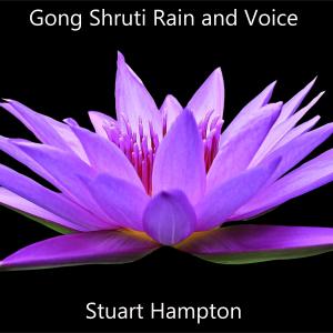 Stuart Hampton的專輯Gong Shruti Rain and Voice