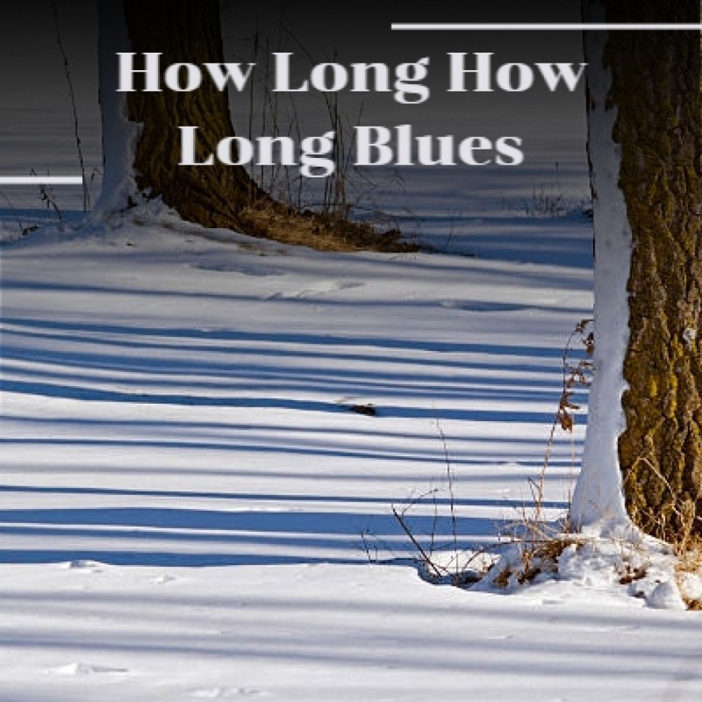 How Long How Long Blues