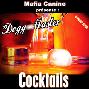 Dengarkan lagu Dans I˙urgence (+Pas Le Temps Remix) (+Pas le temps remix) nyanyian Dogg Master dengan lirik
