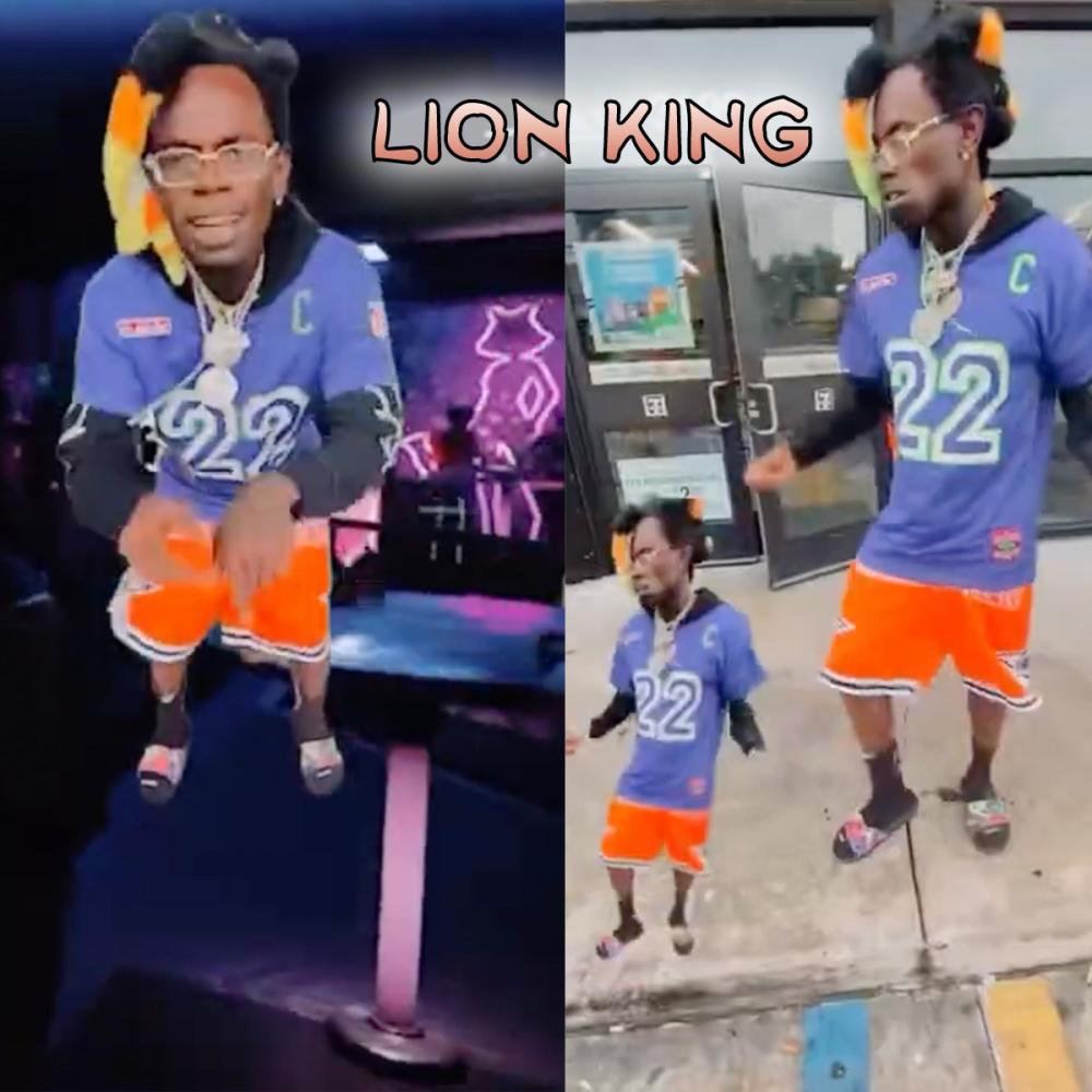 Lion King (Explicit)