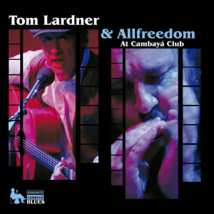 ดาวน์โหลดและฟังเพลง If You Got the Money พร้อมเนื้อเพลงจาก Tom Lardner