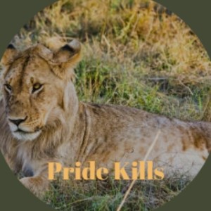 อัลบัม Pride Kills ศิลปิน Various Artists