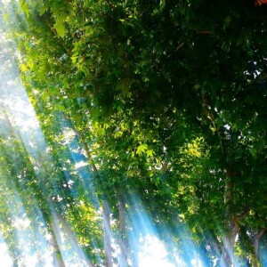 Listen to Pleasant Morning song with lyrics from T-Malu