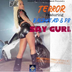 Album Say Gurl (feat. Baldhead) (Explicit) from Terror
