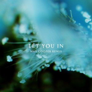ANNA的專輯Let You In (Max Cooper Remix)