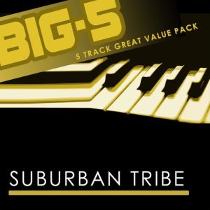 ดาวน์โหลดและฟังเพลง Perfect Dark (Single Version) พร้อมเนื้อเพลงจาก Suburban Tribe