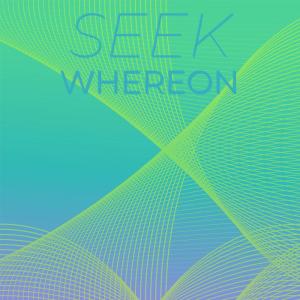 Various的专辑Seek Whereon