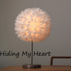 收聽Coolybarra的Hiding My Heart歌詞歌曲