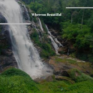 อัลบัม Whereon Beautiful ศิลปิน Various Artists