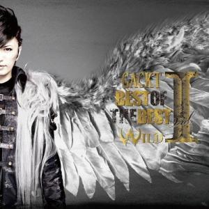 GACKT的專輯BEST OF THE BEST vol.1 ―WILD―