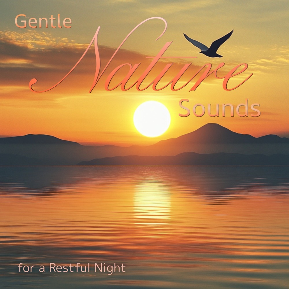 Deep Concentration Zone (Gentle Stream Sounds)