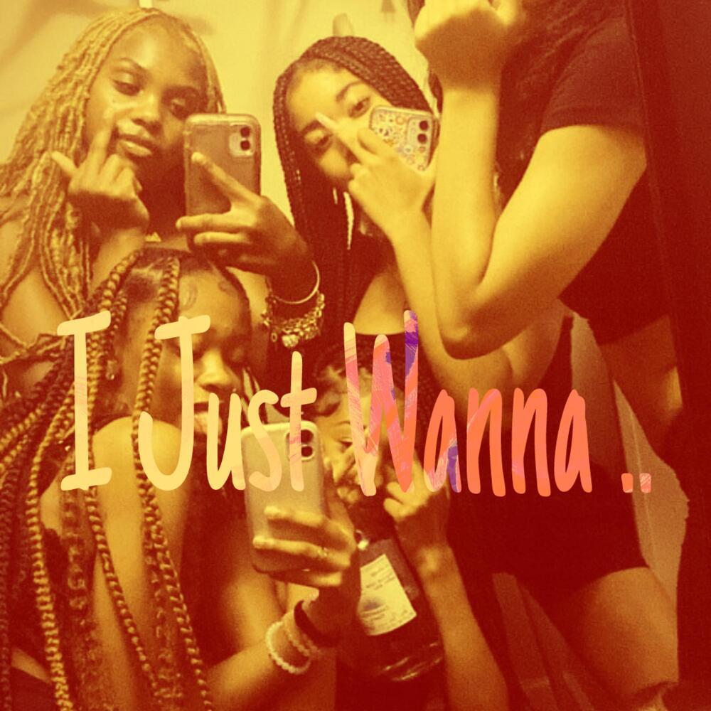 I Just Wanna (Explicit)