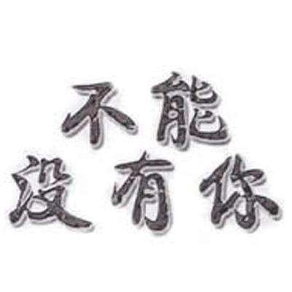 我没能忘记你 (伴奏)