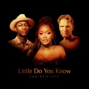 Keke Palmer的專輯Little Do You Know (The Remixes)