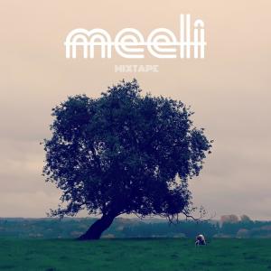 Listen to Spiel des Lebens (feat. Peat Miles & Noah Gordon) song with lyrics from Meelman