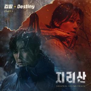 收听金弼的Destiny歌词歌曲