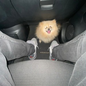 Dengarkan Weekend :/ (feat. JmARI Wit da Scøpe) (Explicit) lagu dari Baybe Heem dengan lirik