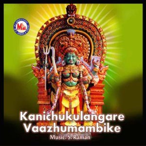 收聽Rani的Pattudayaadakal Chaartthi (其他)歌詞歌曲