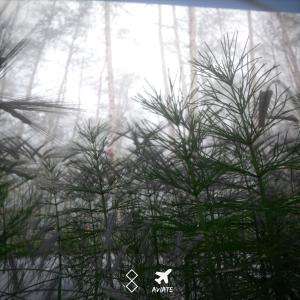 Vxrt的專輯resolute