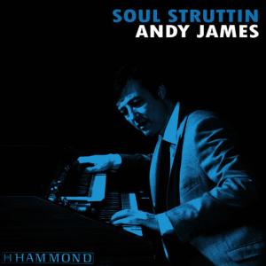 ดาวน์โหลดและฟังเพลง You Don't Love Me พร้อมเนื้อเพลงจาก Andy James