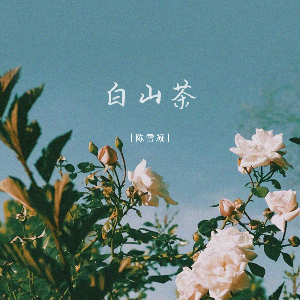 白山茶 (DJ德朋版)