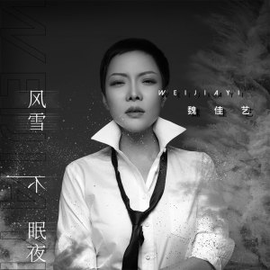 收聽魏佳藝的風雪不眠夜 (伴奏)歌詞歌曲