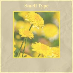 Various的专辑Smell Type