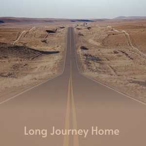 Album Long Journey Home from Various