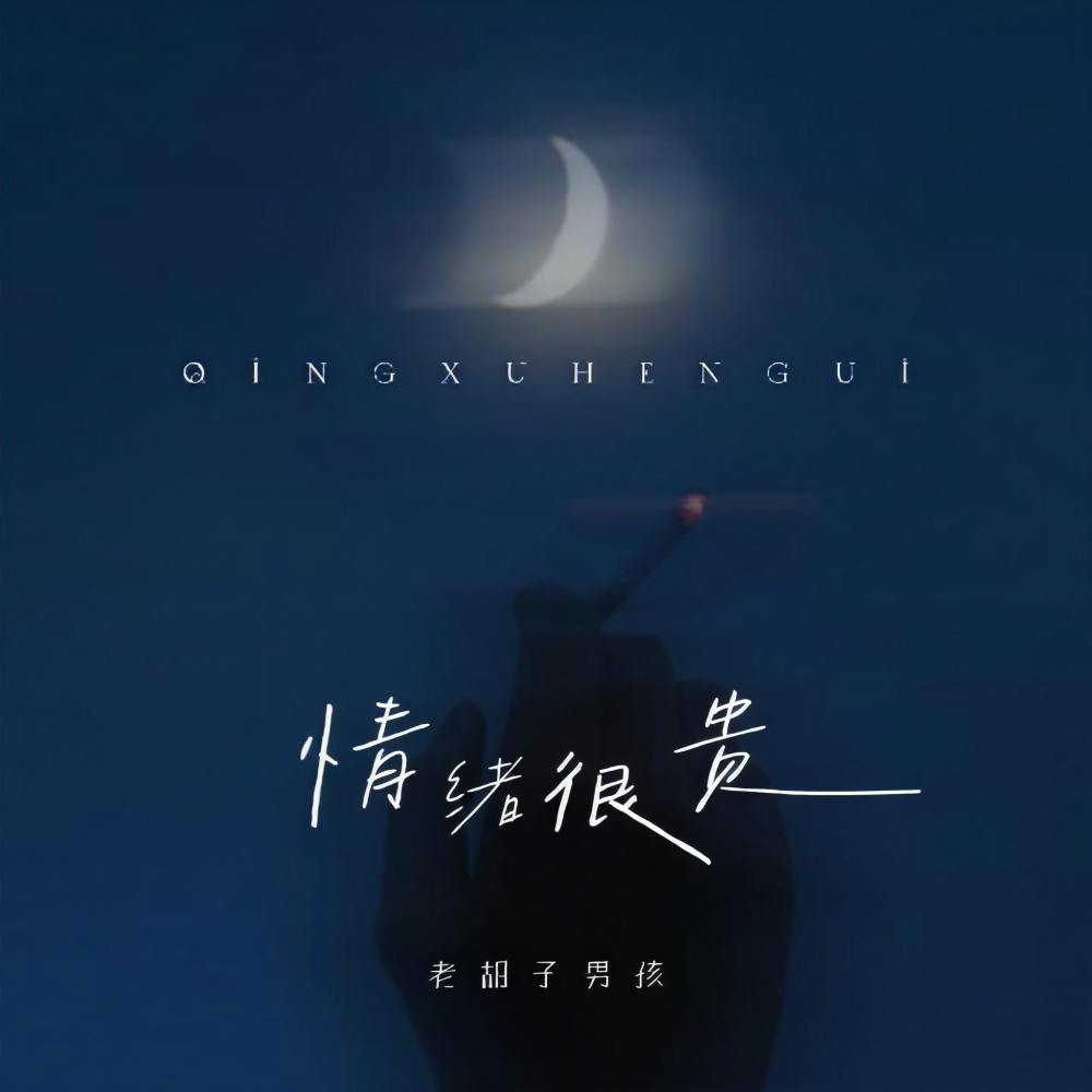 情绪很贵 (伴奏)