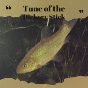 Listen to Turkey in the Straw song with lyrics from Georg Bohm