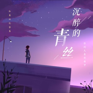 收聽DTKI (曲甲)的沉醉的青絲歌詞歌曲