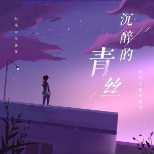 收聽你的大表哥曲甲的沉醉的青絲歌詞歌曲