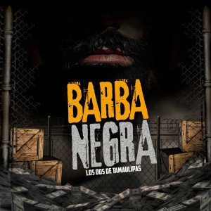 Listen to Barba Negra song with lyrics from LOS DOS DE TAMAULIPAS