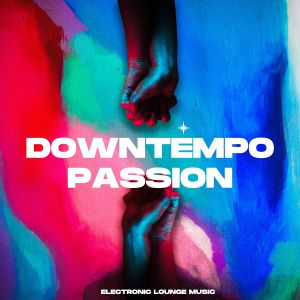 อัลบัม Downtempo Passion (Electronic Lounge Music) ศิลปิน Various Artists