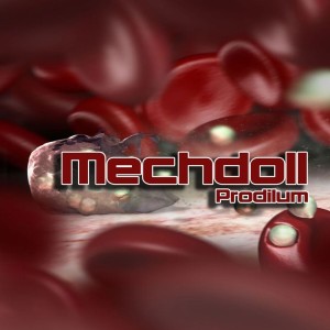 Dengarkan They lagu dari MechDoll dengan lirik