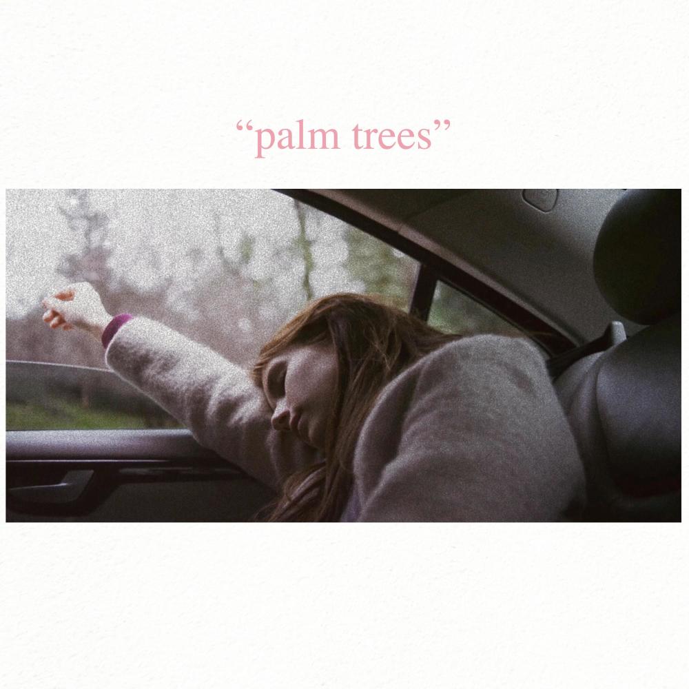PALM TREES