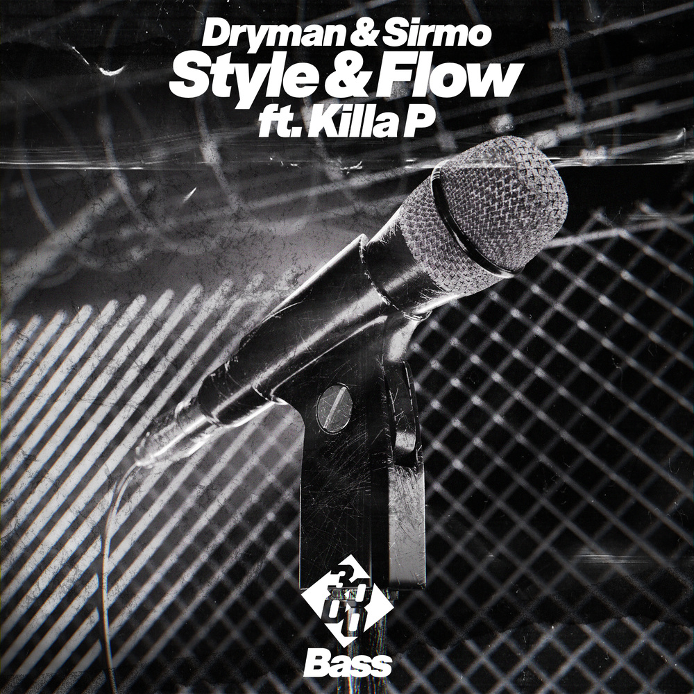 Style & Flow (WZ Remix)