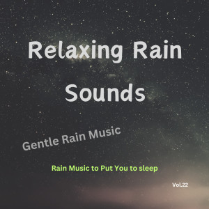 Relaxing Rain Sounds (Vol.22)