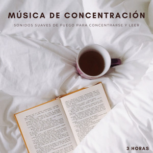 Música De Concentración: Sonidos Suaves De Fuego Para Concentrarse y Leer - 3 Horas