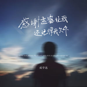 Album 感谢孟婆让我还记得我欠你 from 成学迅