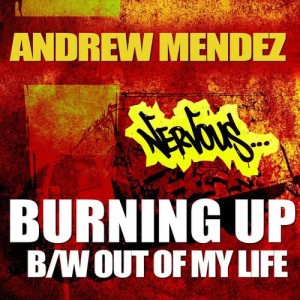 ดาวน์โหลดและฟังเพลง Burnin Up (Original Mix) พร้อมเนื้อเพลงจาก Andrew Mendez